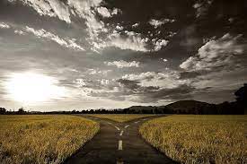 When You Come To A Fork In The Road Take It By Scott Myers Go Into The Story