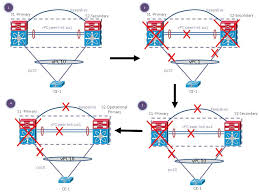 Vpc Auto Recovery Feature In Nexus 7000 Cisco Community