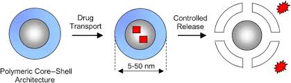 Bala name meanings is child, an ever 9 year old girl, a young girl. Supramolecular Drug Delivery Systems Based On Polymeric Core Shell Architectures Haag 2004 Angewandte Chemie International Edition Wiley Online Library