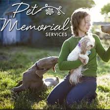Pet memorial services near me. 17 Pet Memorial Quotes Ideas Dog Quotes Pets Pet Memorials