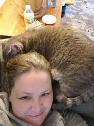 Can you help find a lost bird