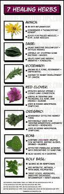 Herbs or Earbs on Pinterest