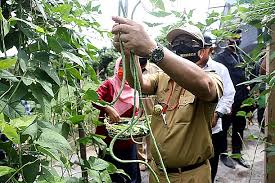 Bawang merah dan putih ternyata dapat membesarkan alat vital secara alami dan aman. Inflasi Kaltara Terjaga Di Bawah Inflasi Nasional