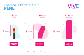 ✓ ¿Cuánto mide un pene? | Todo sobre el tamaño del PENE