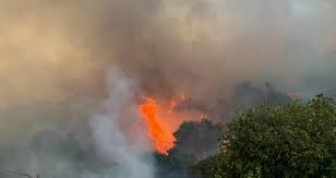 Στιγμιότυπα από το μέτωπο της φωτιάς. Fwtia Sthn Perdika Ths Aiginas H Efhmerida Twn Syntaktwn