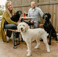 Dog Friendly Restaurants And Shops In Milwaukee Your Guide