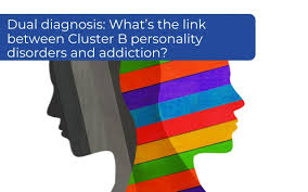 Image result for Cluster B Personality Disorder