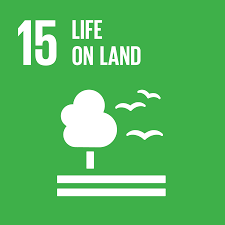 We did not find results for: Goal 15 Department Of Economic And Social Affairs