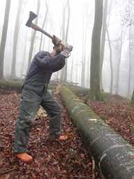 Warum schärfen sie sie denn nicht?. Das Baumfallen