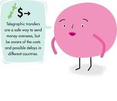 This publication is provided for general information purposes only and is not intended to cover every aspect of the topics with which it deals. Telegraphic Transfers Banking Ombudsman Scheme