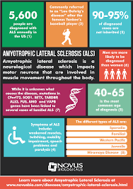 The test evaluates the electrical activity of your muscles when they contract and when they're at rest. Amyotrophic Lateral Sclerosis Infographic Antibody News Novus Biologicals