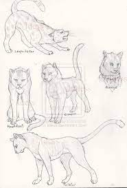 Want to discover art related to warriorcats? Warriors Cats By Idess On Deviantart Warrior Cats Books Warrior Cats Warrior Cats Fan Art