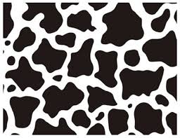 COW Print EDIBLE Image Cake Decorations Animal Cake Stripes 