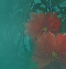 Sustainable Era of Nanomaterials