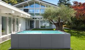 Dolcevita Piscine Laghetto Swimming Pools Backyard Backyard Pool Swimming Pools