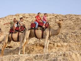 They were riding a camel and it looked very uncomfortable plus it must be hot sitting. Camel Rides In Israel Tourist Israel