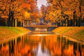 Image result for toamna poze
