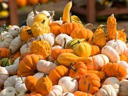 Maybe you would like to learn more about one of these? Pumpkin Equivalents Measurements And Substitutions