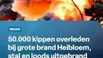Kippenboer John en de brand in Heibloem - TikTok