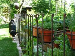 Hunde Und Gartenzaun Aus Metall Hundezaun Garten Vorgarten