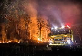 Bushfires in australia are a widespread and regular occurrence that have contributed significantly to shaping the nature of the continent over millions of years. Australian Bushfires A Timeline Of What S Happened So Far Create