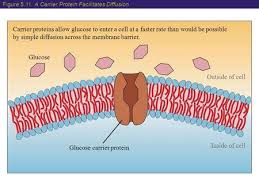 Lesson Avery Ppt Video Online Download