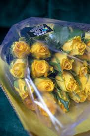 Check spelling or type a new query. Speaking The Language Of Flowers With Marks Spencer Well I Guess This Is Growing Up