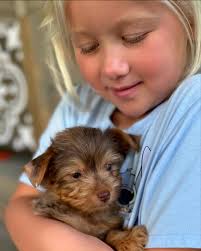 Ann Stadheim（@annstadheim） • Threads，暢所欲言