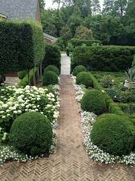 The flowers are perfect white and would work in a moon garden theme if you are planning to use your instant garden hedge for a moon garden backdrop. Boxwood Garden Garden Inspiration Garden Paths