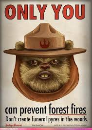 Only You Can Prevent Forest Fires Star Wars Epics Star Wars Humor Star Wars Poster Star Wars Geek