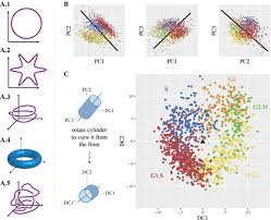 Candidates can make corection in ugc net 2018 application form from 8th october 2018. The Transcriptome Dynamics Of Single Cells During The Cell Cycle Biorxiv