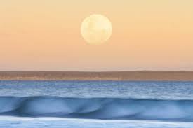 1 day ago · the full moon in aquarius takes place on aug. Kgd7bnc70t9qbm