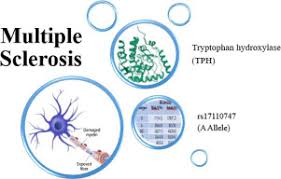 We did not find results for: Em Tph Em Gene Rs17110747 A Allele Is Significantly Enriched In Iranian Patients With Multiple Sclerosis Researcher An App For Academics