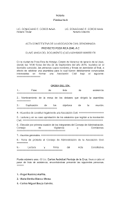 ACTA Constitutiva AC