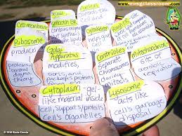 You can have your students construct the foldable in many different ways! Plant Animal Cell Foldables Mrs Gs Classroom