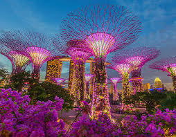 The gardens has been inscribed as a unesco world heritage site in 2015. Botanic Gardens In Singapore Big Bus Tours