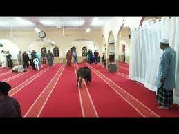 Check spelling or type a new query. Jemaah Gempar Babi Hutan Masuk Masjid Youtube