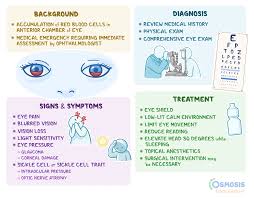 Image result for Hyphema