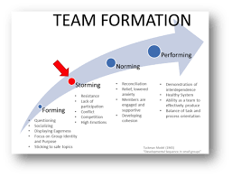 leadership team development coaching