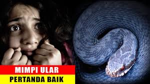 Untuk itu cobalah saling mengerti satu sama lain agar selalu terjalin keharmonisan antara anda dan pasangan anda. Pertanda Baik Inilah 5 Arti Mimpi Bertemu Dengan Ular Youtube