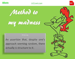 English Idiom A Method To One S Madness Idioms Idioms And Proverbs English Idioms