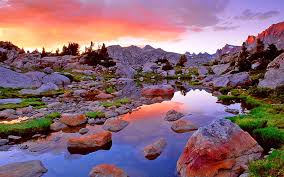 Hd wallpapers and backgrounds for desktop, mobile and tablet in full high definition widescreen, 4k ultra hd, 5k, 8k resolutions download for osx, windows 10, android, iphone 7 and ipad. Beautiful Nature Wallpapers 1080p 2k 4k 5k Hd Wallpapers Free Download Wallpaper Flare