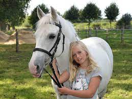Ponies for sale in ny. Kid Safe Horses For Sale