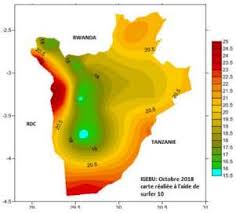 Image result for Agelanthus keilii