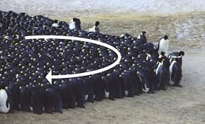 We do make exceptions for extremely offensive jokes. Emperor Penguins Colony A New Metaheuristic Algorithm For Optimization Springerlink