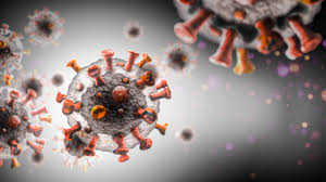 Global Virus Network issues guidance on new Covid-19 variant, vaccine protection