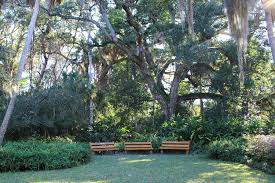 The park is most famous for its form. Romance Is In The Air At Washington Oaks Gardens State Park The Ponte Vedra Recorder
