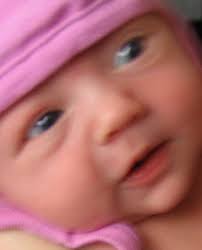 Presentation Des Ateliers