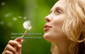 White Puff Balls and the Gospel