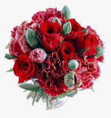 We did not find results for: Flower Bouquets Transparent Background Hd Png Download Transparent Png Image Pngitem